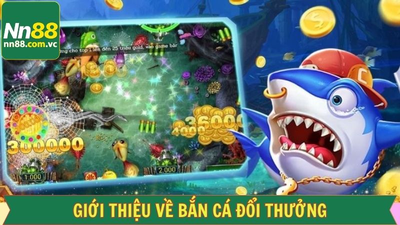 Khái quát về sân chơi săn cá hàng đầu tại NN88