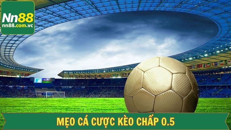 Danh sách các thông tin cần lưu ý về kèo chấp 0.5